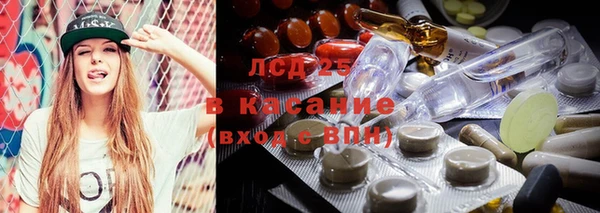 стафф Алексин
